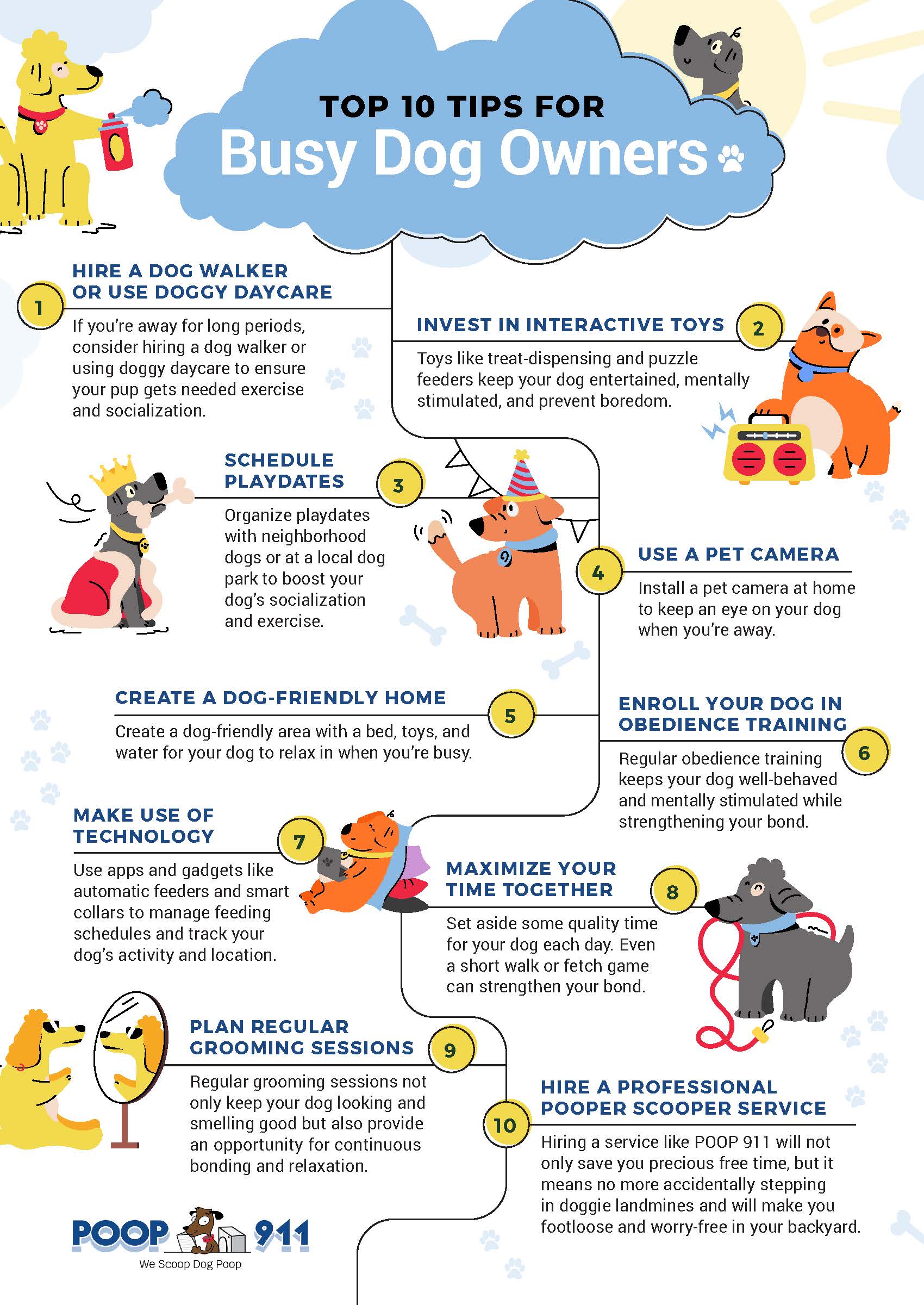 Top 10 Tips for Busy Dog Owners POOP 911 Infographic