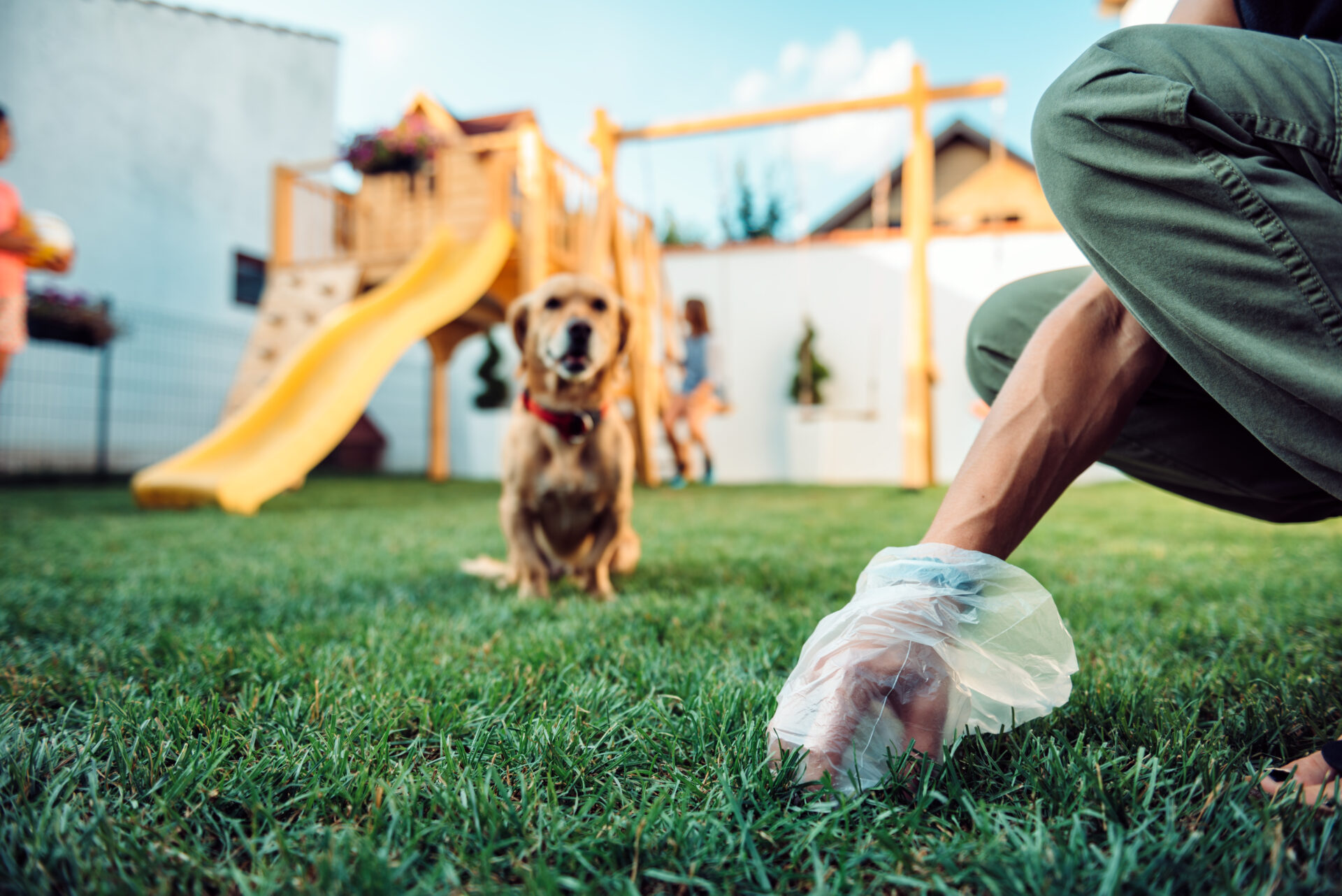 Experience the Difference in Dog Poop Clean Up Services with Poop 911 Croton On Hudson, NY