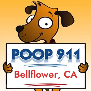 POOP 911 Bellflower, California yard sign being held by a Smiling Brown Dog.