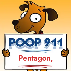 POOP 911 Pentagon, DC yard sign being held by a Smiling Brown Dog.