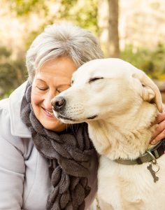 Calming dog relaxing with pet parent in the yard.