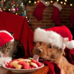 Fun Ways To Include Your Dog At Christmas Parties