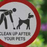 The Dangers of Keeping Dog Poop on Your Lawn