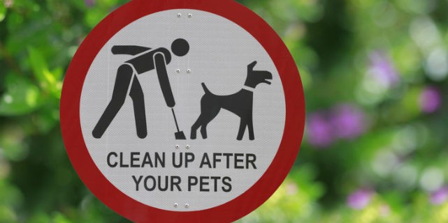 The Dangers of Keeping Dog Poop on Your Lawn