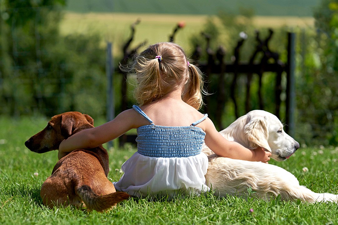 Dogs and Kids and How to Get Them to Like Each Other