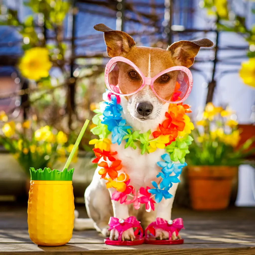 How To Keep Your Dog Cool In Summer Featured Image. Happy dog chilling in the shade.